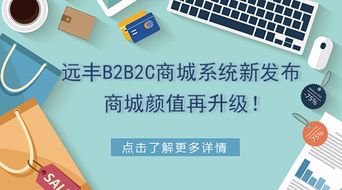 重磅丨远丰b2b2c商城系统新发布,商城颜值再升级